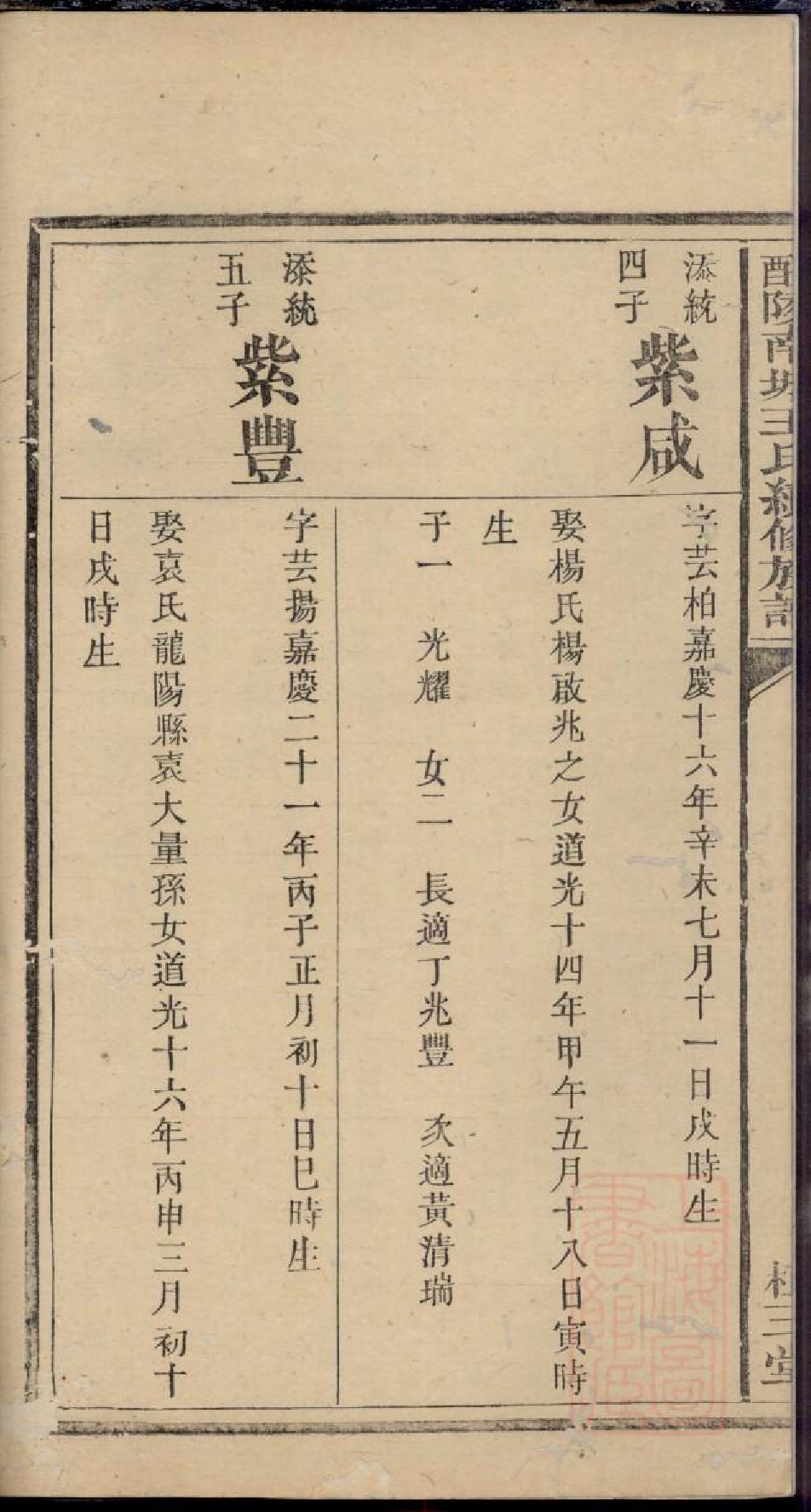 0163醴陵南城王氏续修族谱_010_第3页
