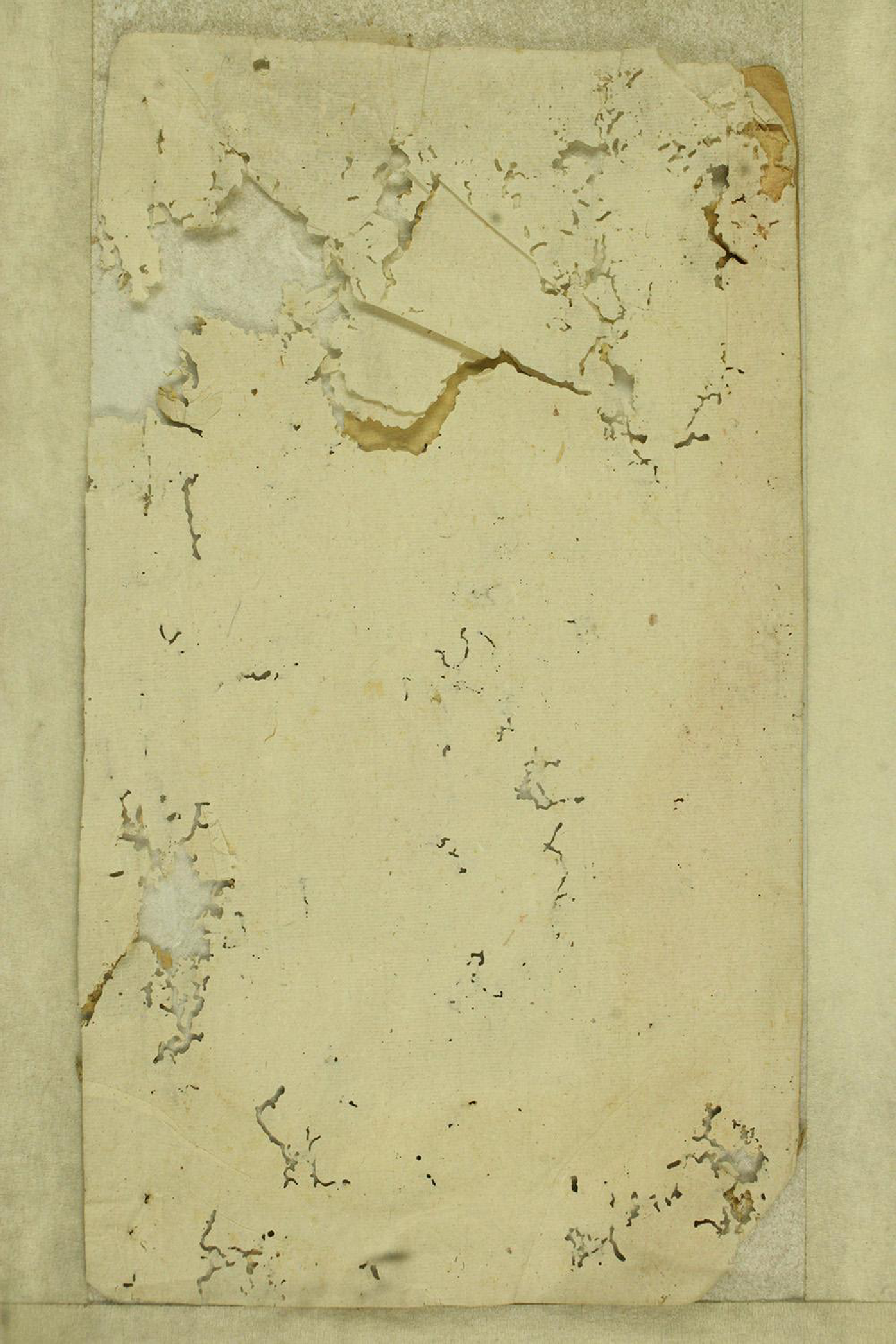 1348太邑花果园王氏宗谱_002