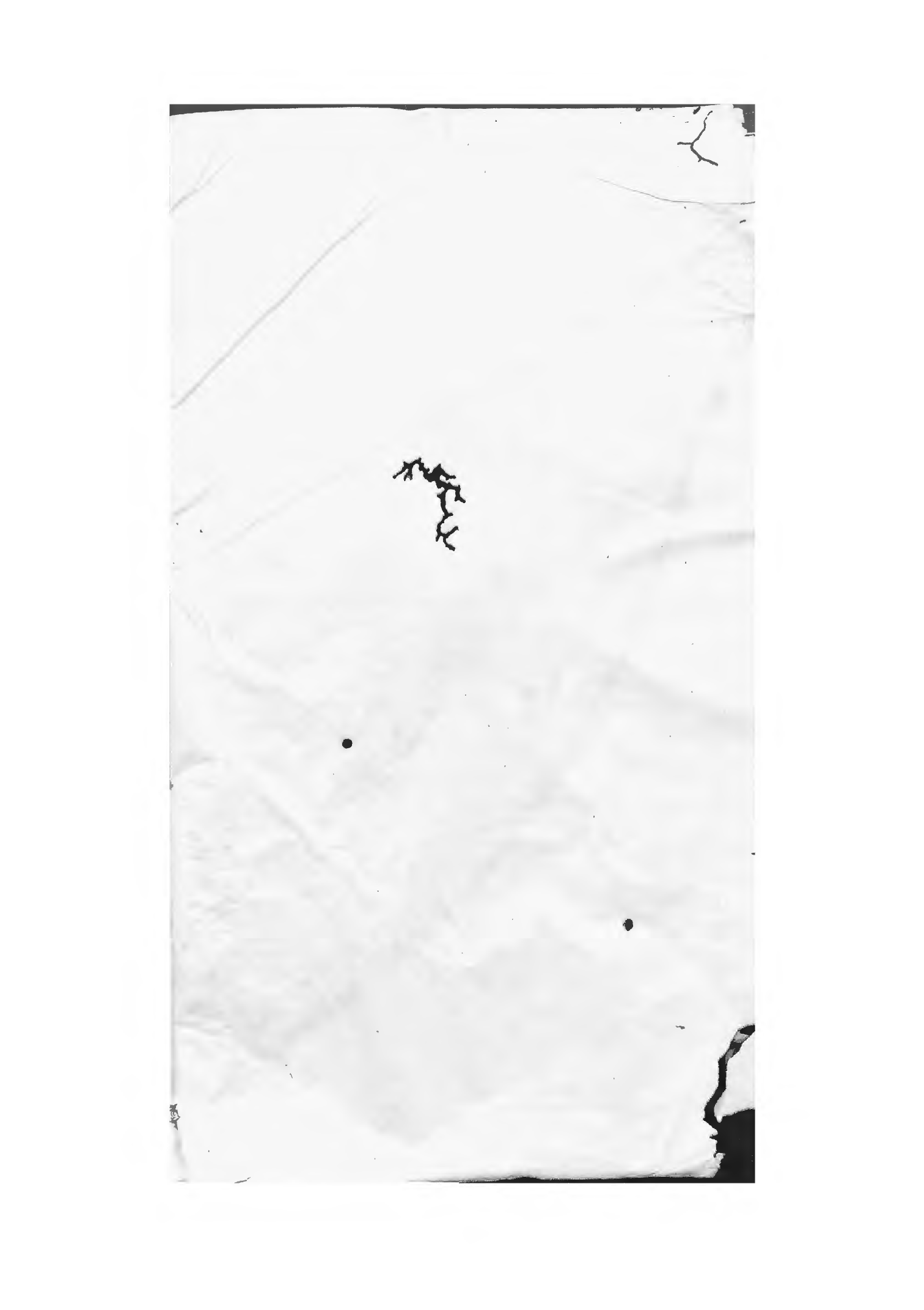 1511四明黄氏家谱_007