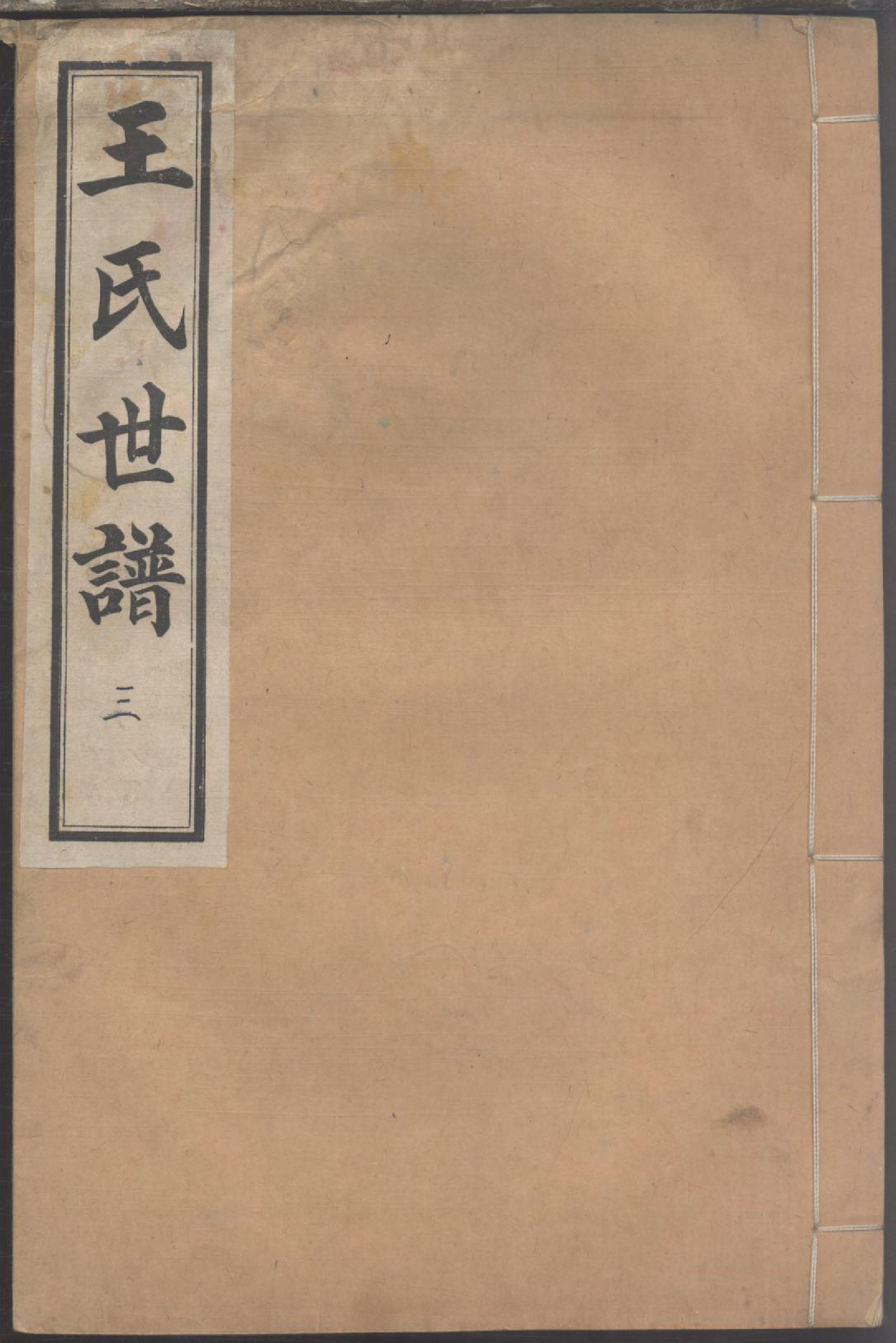 1170王氏世谱_003