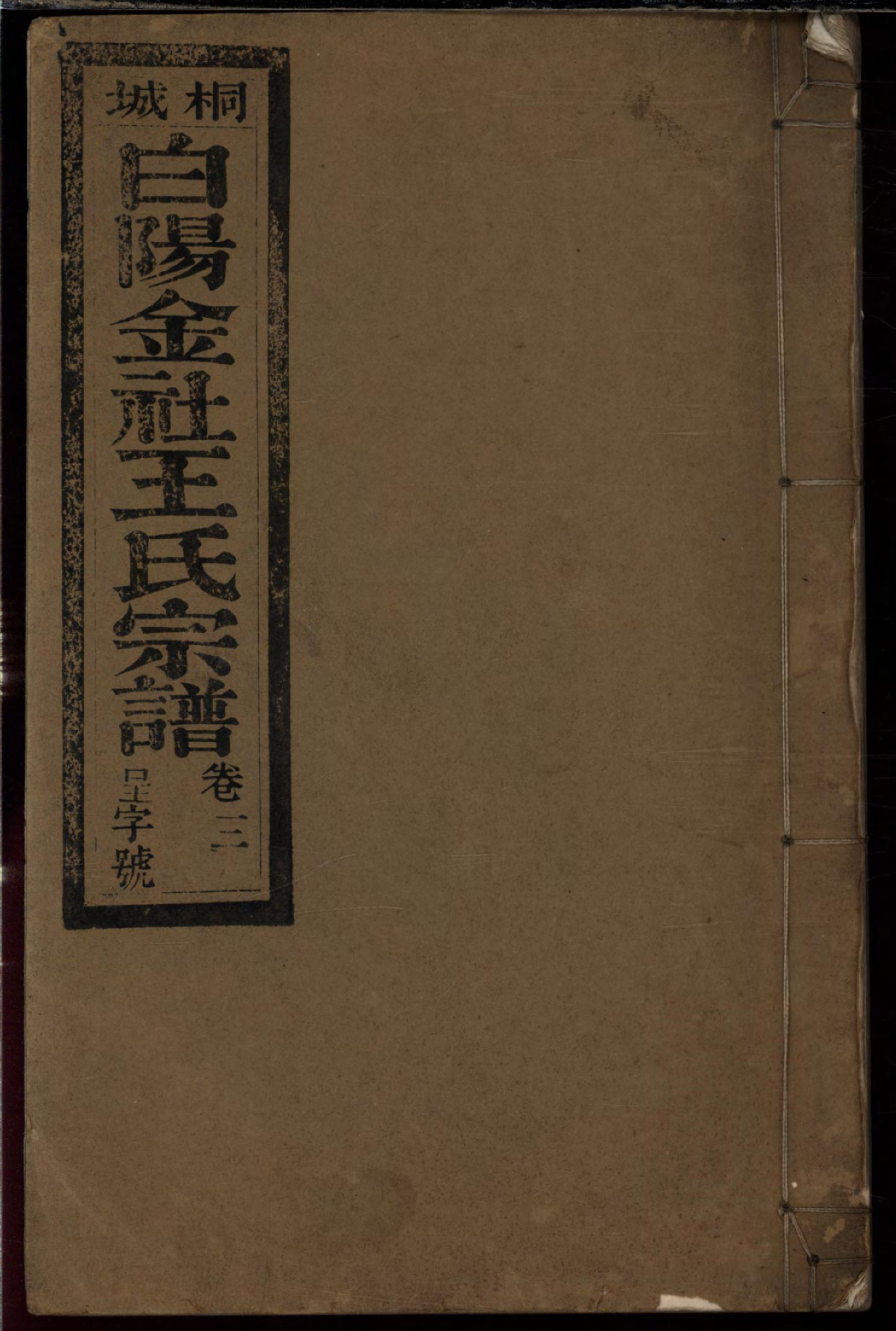 1104桐城白阳金社王氏宗谱_003_第1页