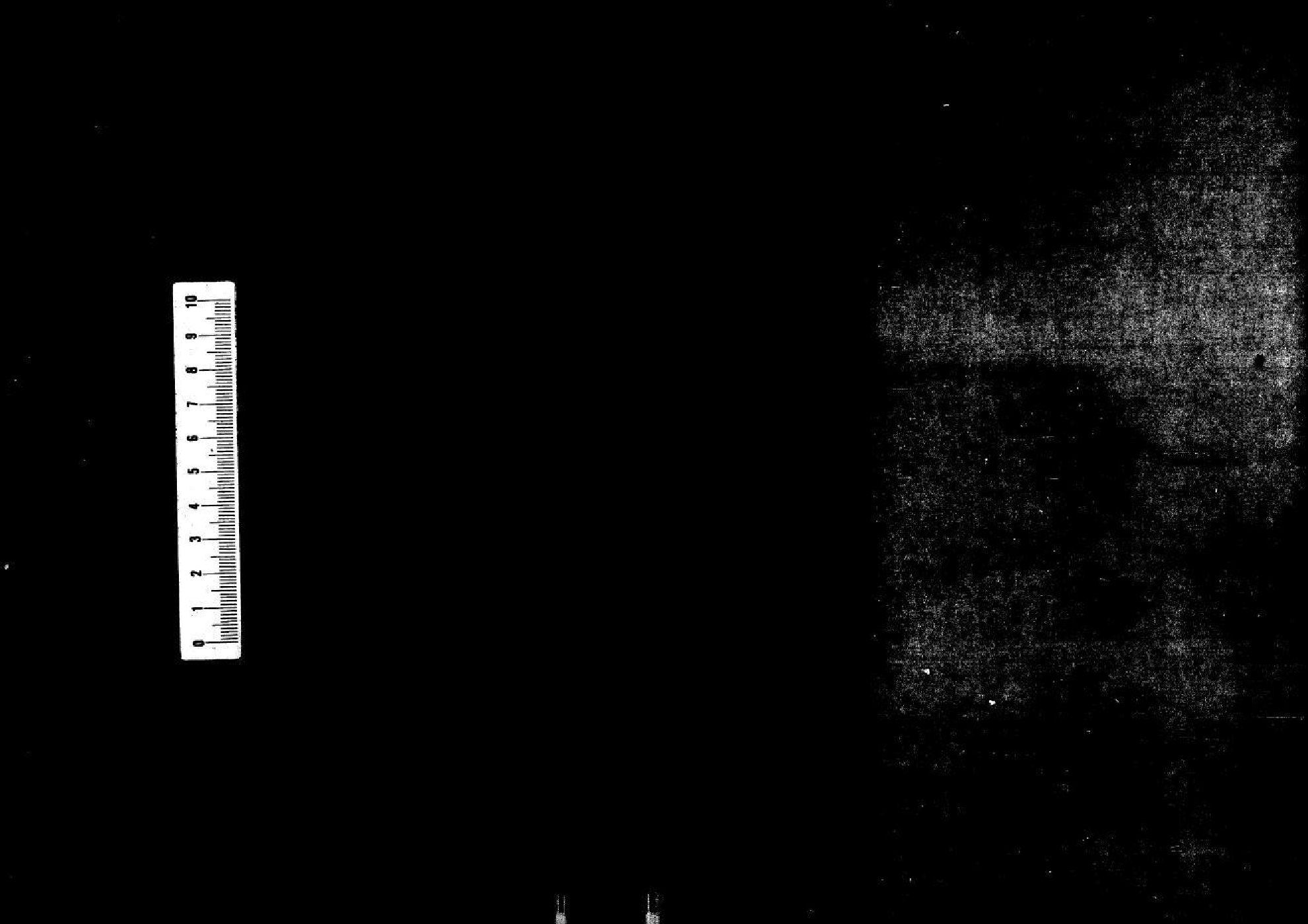 2234淄西毕氏世德家传 一卷_001_第3页