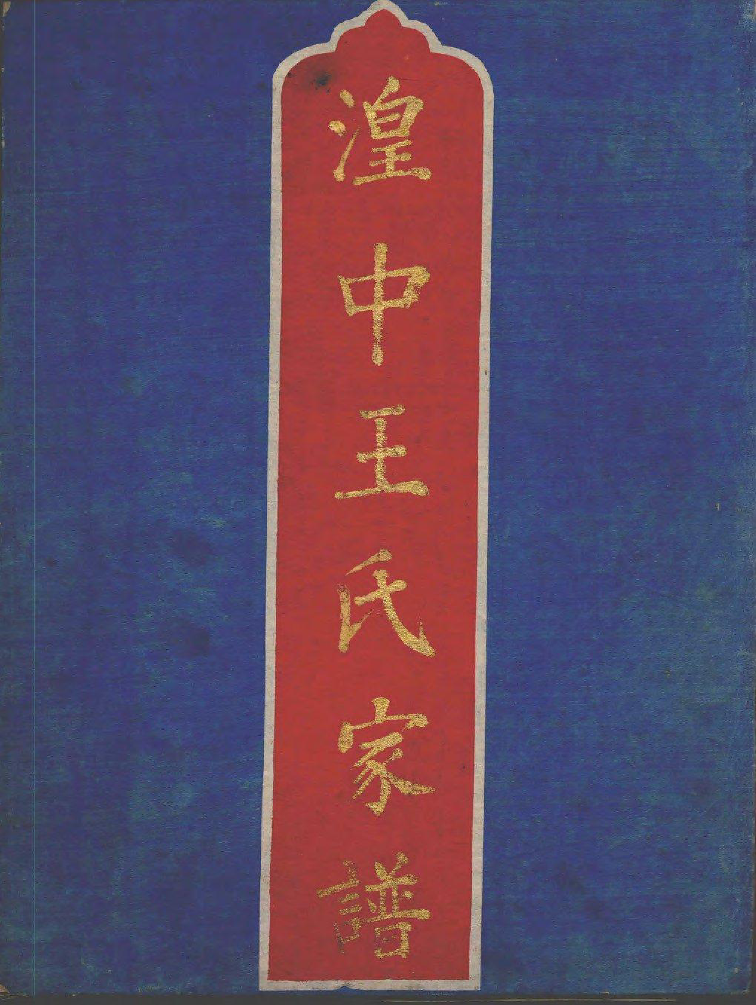 1988湟中王氏家谱_001_第1页