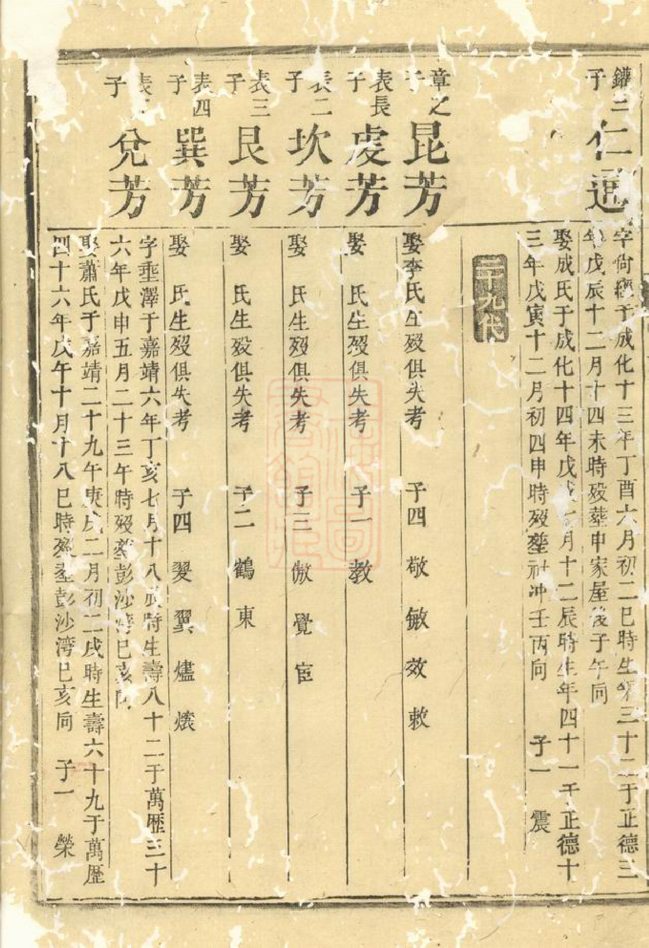 1446.涟湘贺氏族谱： [湘乡].pdf_第3页