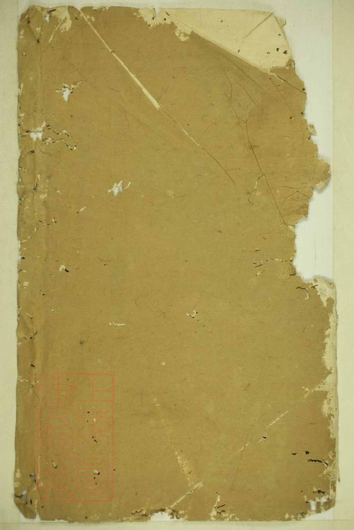 1193.傅氏族谱.pdf