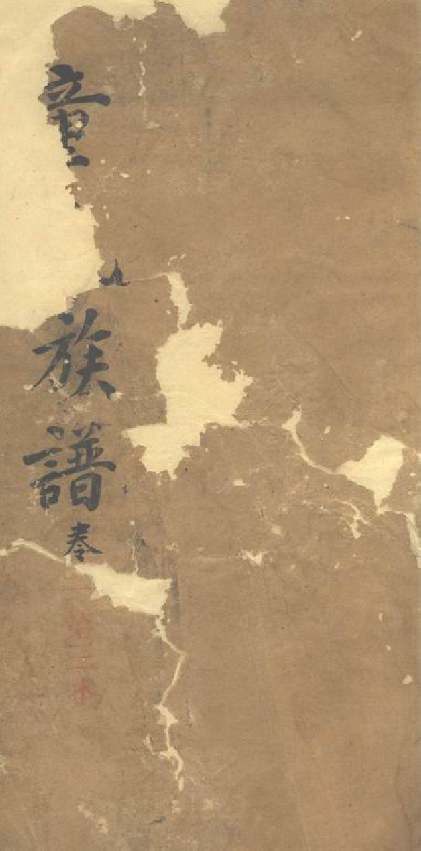 1244.童氏族谱： [桃源].pdf_第1页
