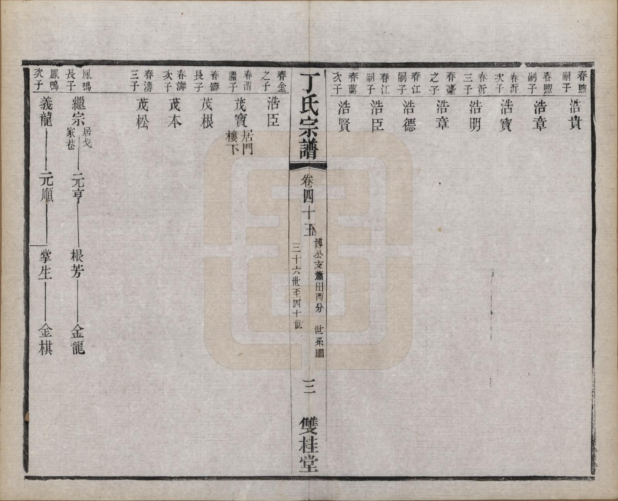 GTJP0298.丁.江苏常州.丁氏宗谱四十六卷首六卷.清光绪十年（1884）_045.pdf_第3页