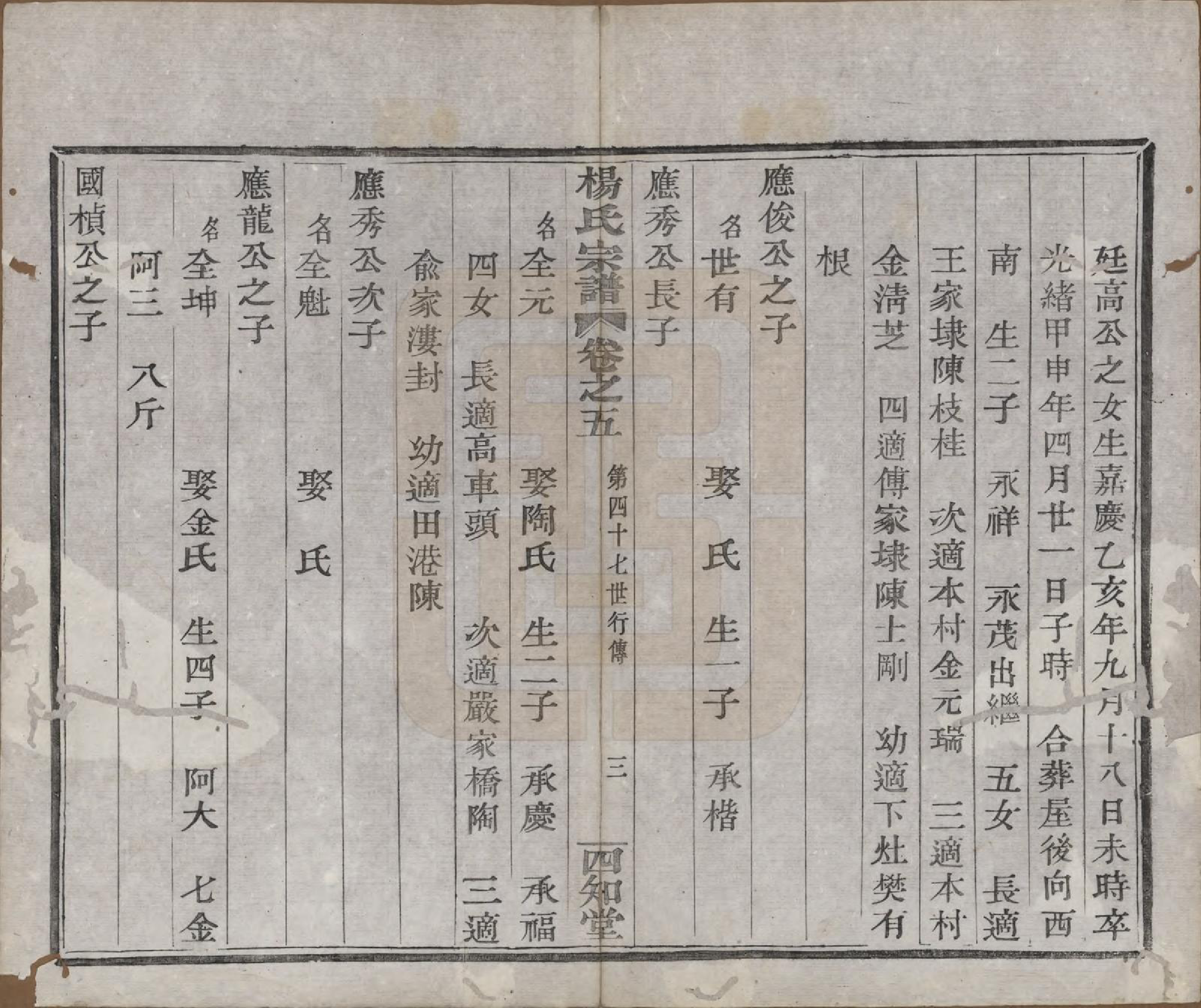 GTJP1985.杨.浙江绍兴.山阴杨氏宗谱七卷.清光绪十八年（1892）_005.pdf_第3页