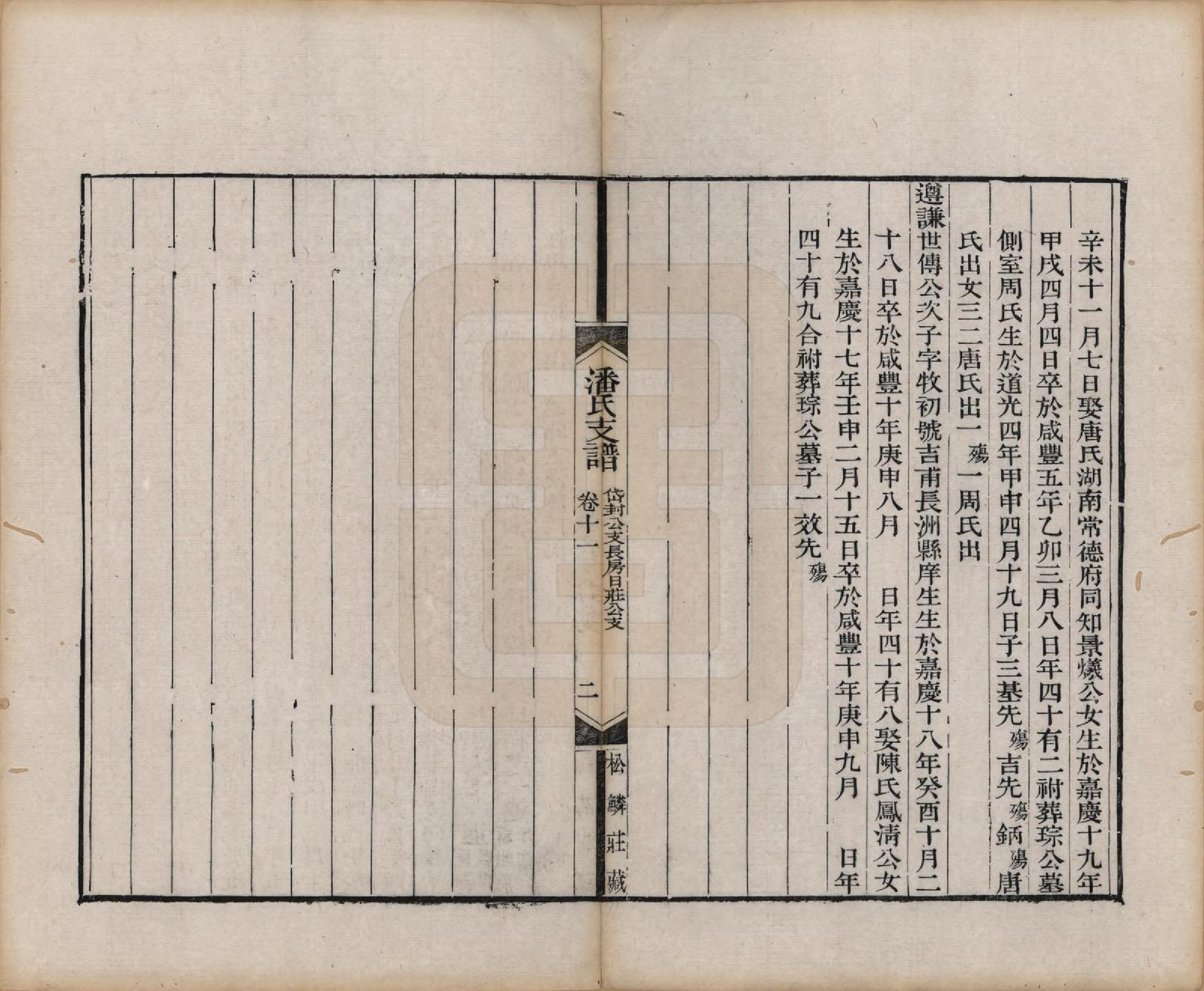 GTJP1131.潘.安徽歙县.大阜潘氏支谱二十四卷首一卷.清同治八年（1869）_011.pdf_第2页