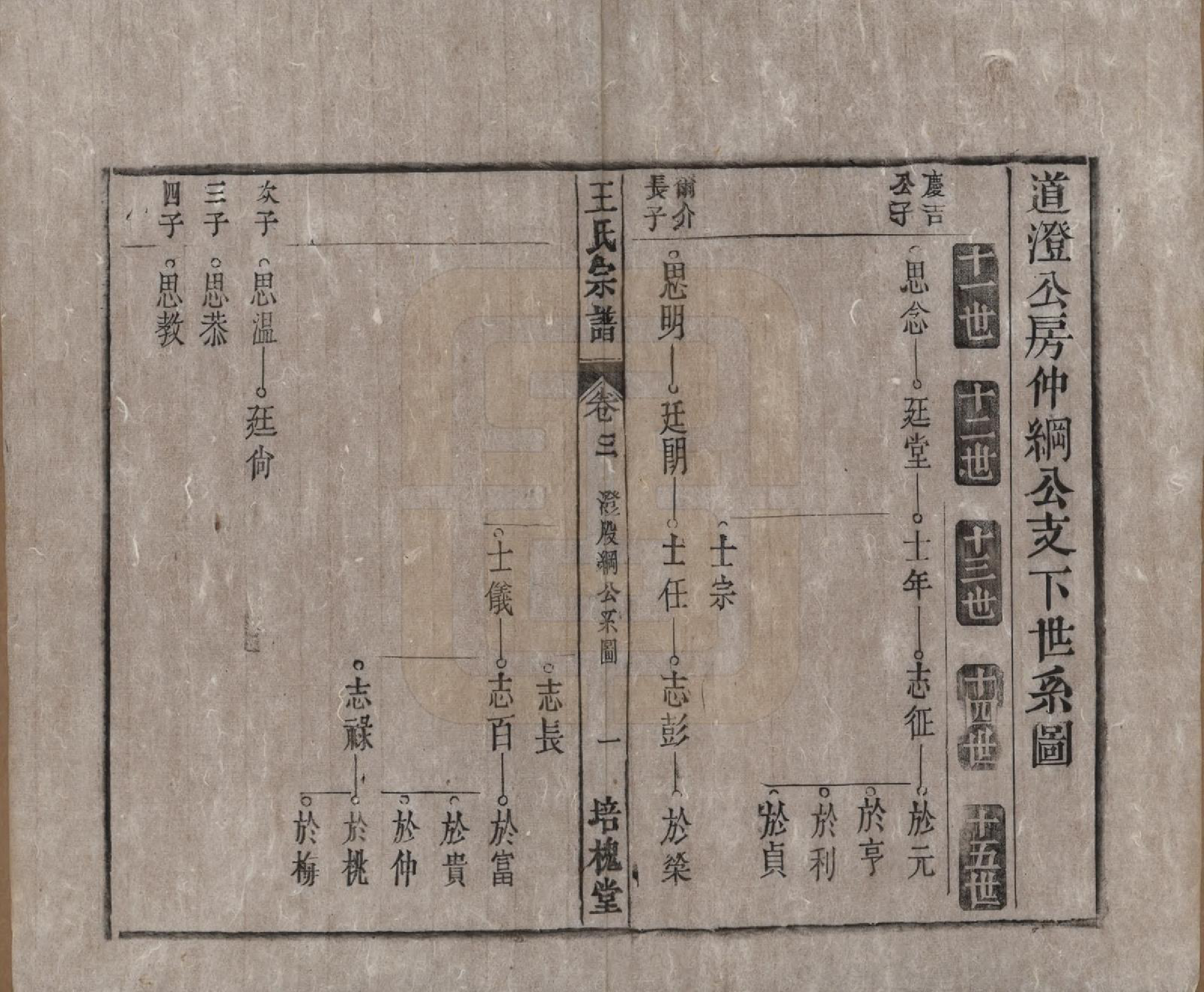 GTJP1620.王.安徽桐城.王氏宗谱.清同治5年[1866]_003.pdf_第1页