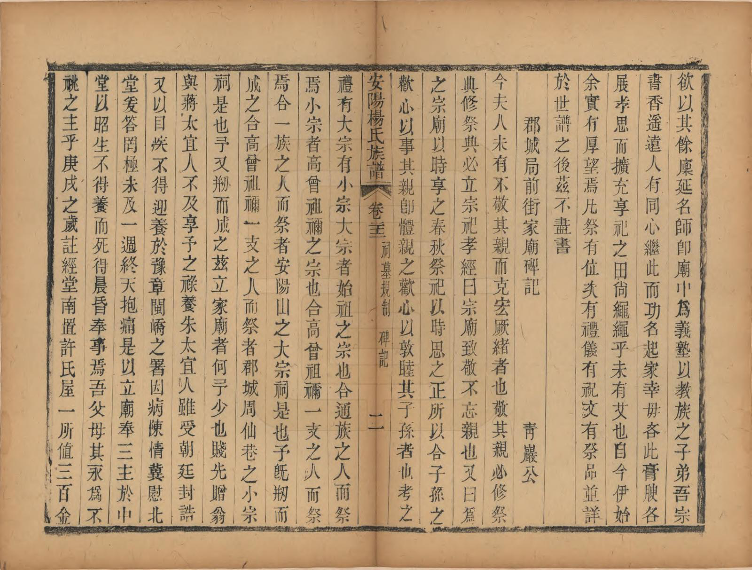 GTJP1990.杨.江苏无锡.安阳杨氏族谱二十四卷.清同治十二年(1873)_022.pdf_第2页