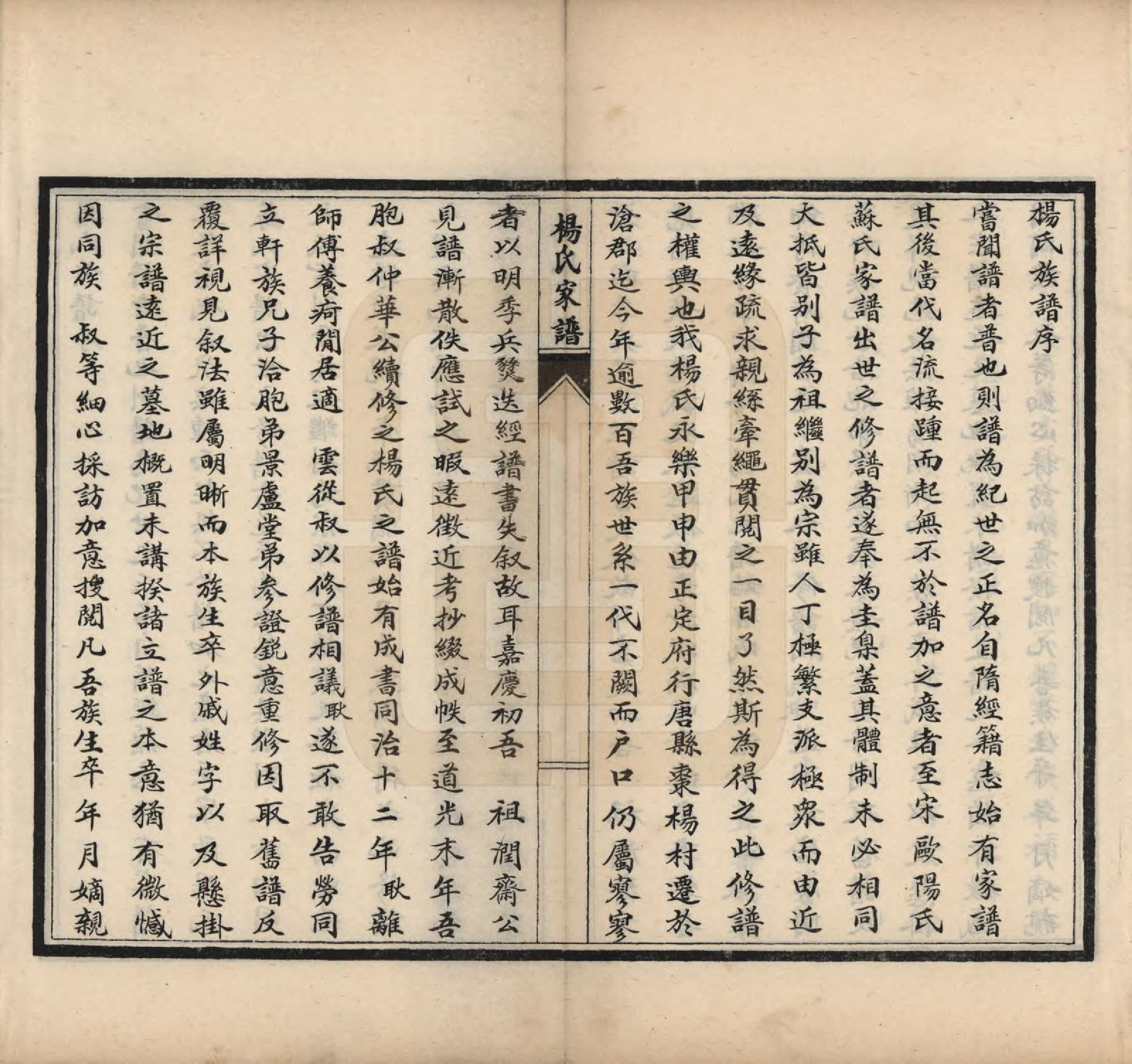 GTJP1959.杨.河北沧县.沧县杨氏家谱四卷.民国二十三年（1934）_002.pdf_第3页