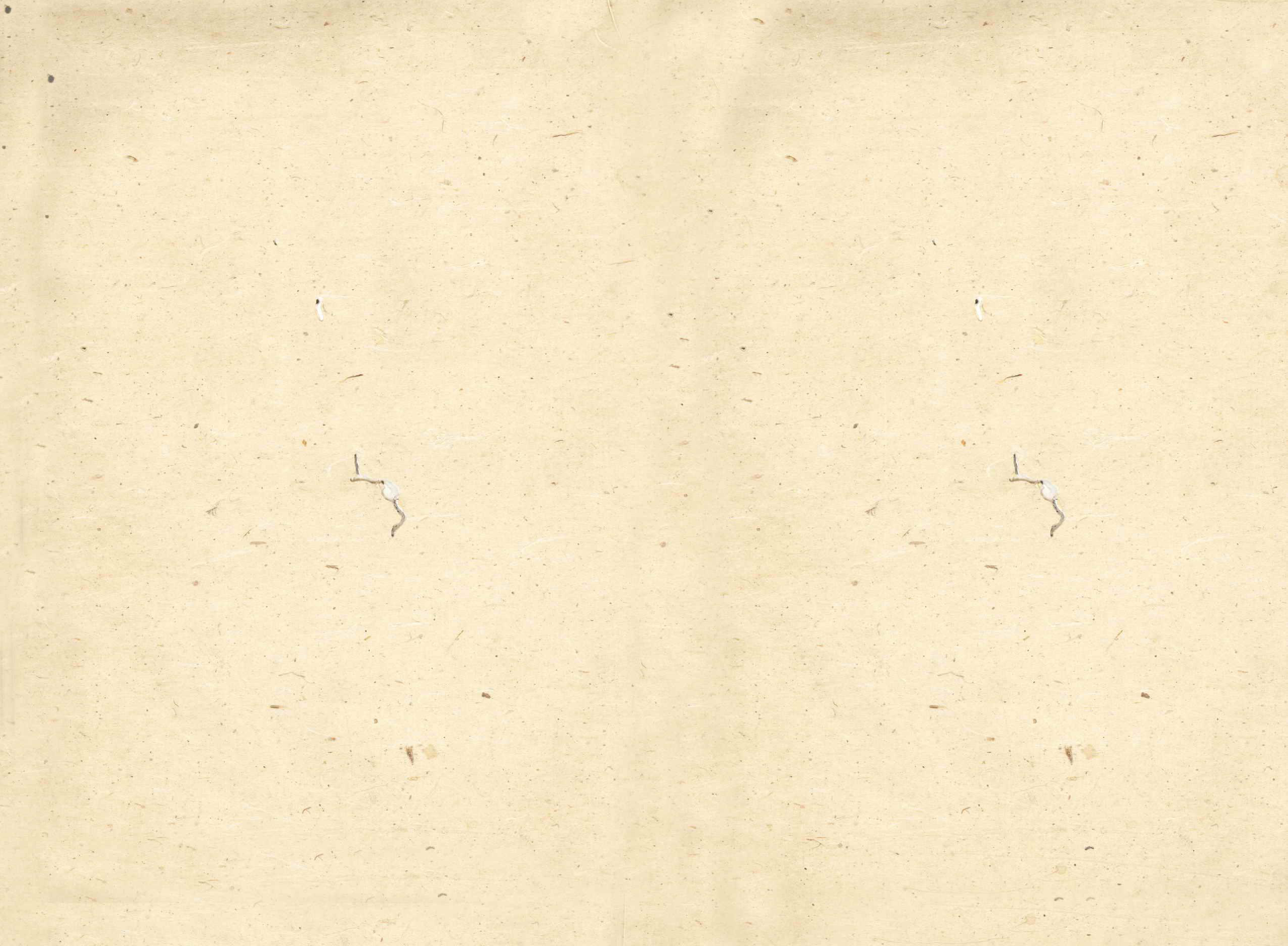 GTJP0883.廖.湖南安化.廖氏族谱.清同治5年（1866）_006.pdf