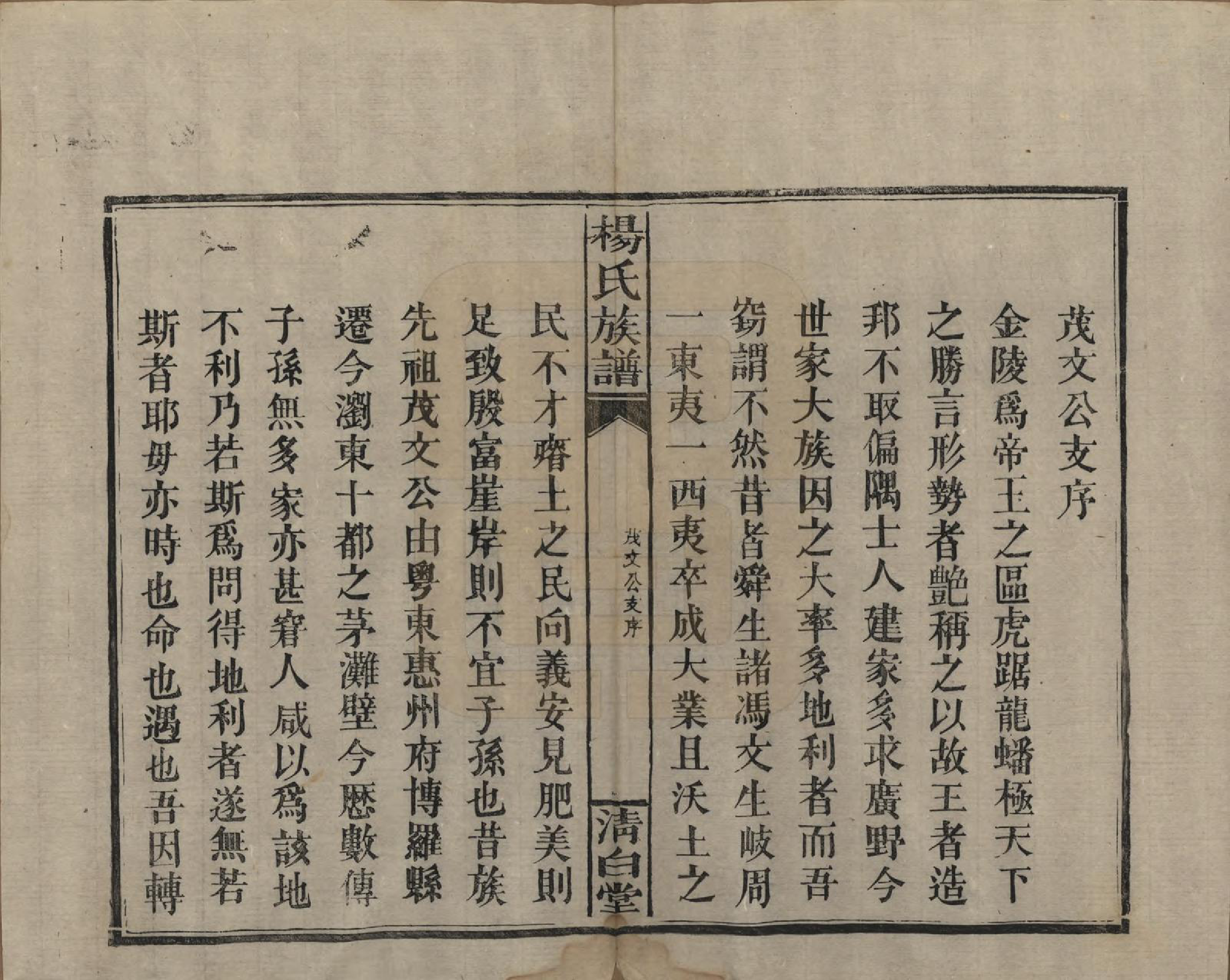 GTJP1975.杨.湖南浏阳、江西万载.杨氏族谱.清光绪27年[1901]_011.pdf