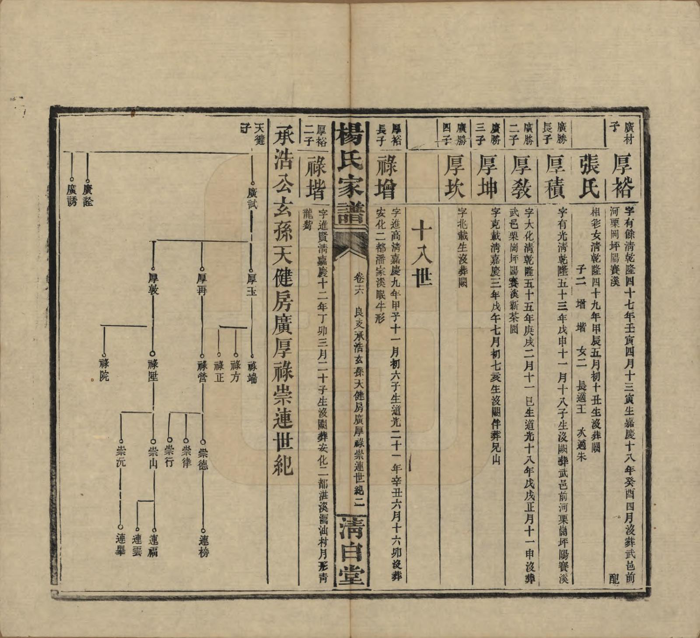 GTJP1939.杨.湖南安化.杨氏家谱.民国10年[1921]_016.pdf_第2页