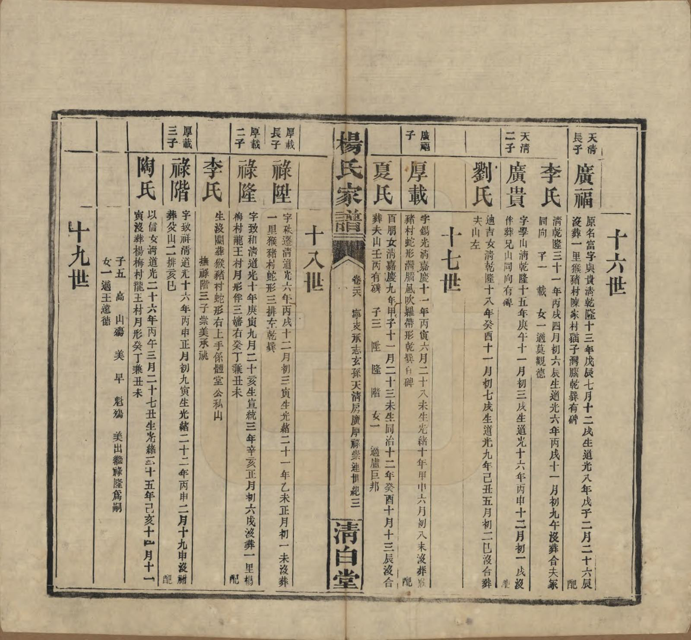 GTJP1939.杨.湖南安化.杨氏家谱.民国10年[1921]_026.pdf_第3页