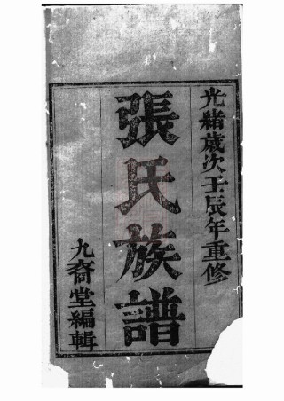 0490.如皋张氏族谱： 十一卷，首一卷.pdf