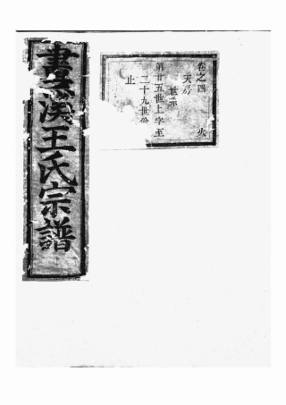 1593.东阳画溪王氏宗谱.pdf