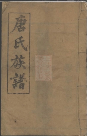 5376.唐氏族谱： 十七卷，首二卷：[湖南常德].pdf