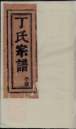 4557.丁氏宗谱.pdf