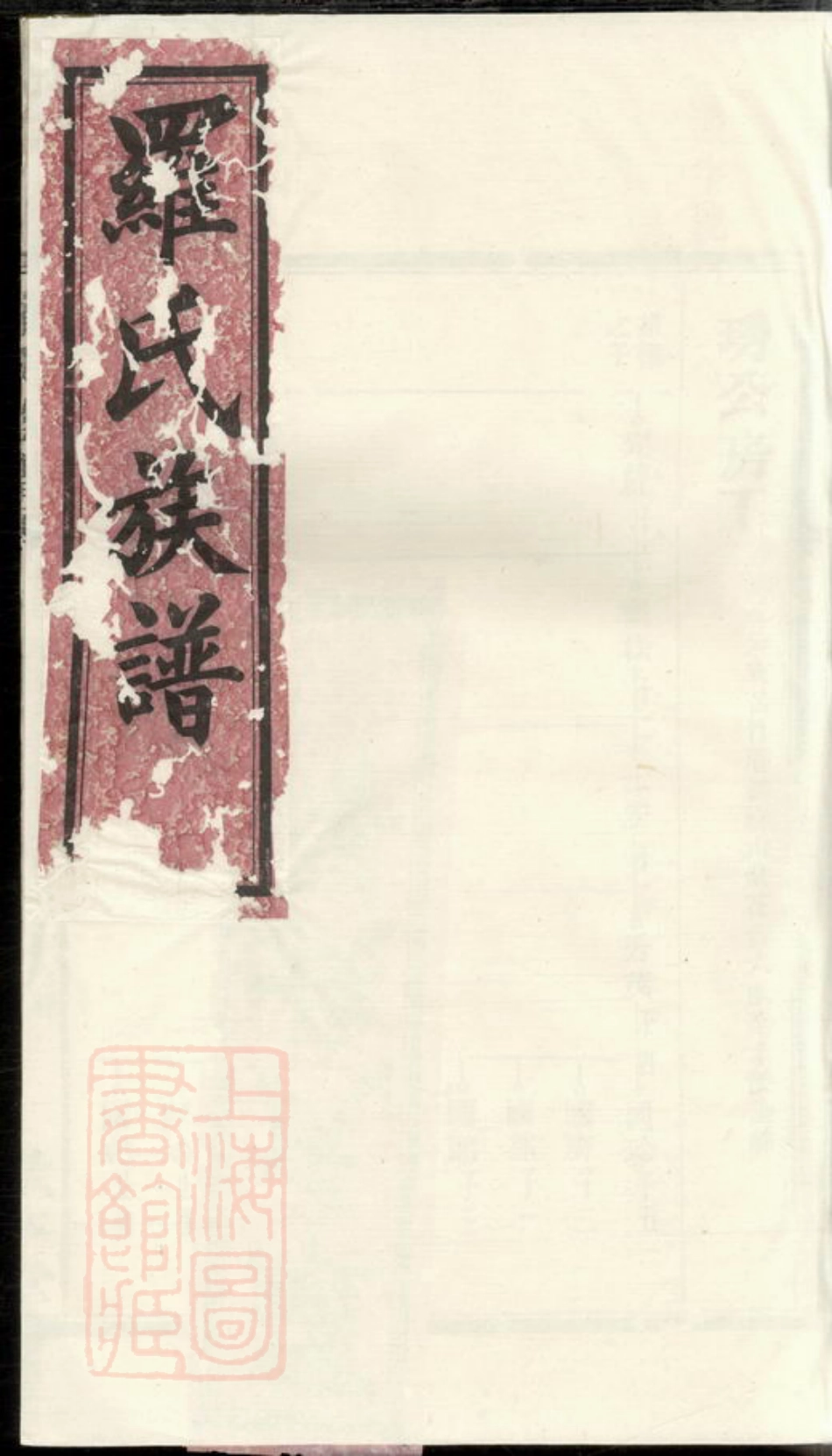 4357.罗氏族谱.pdf_第1页