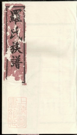 4357.罗氏族谱.pdf