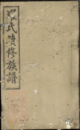 4360.罗氏续修族谱.pdf