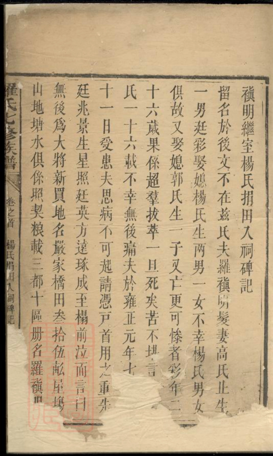 4324.罗氏七修族谱： [湖南].pdf_第2页