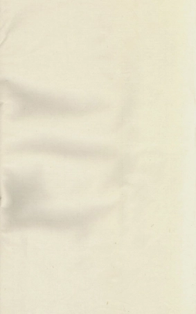 3469.宁都安福刘氏大成族谱.pdf