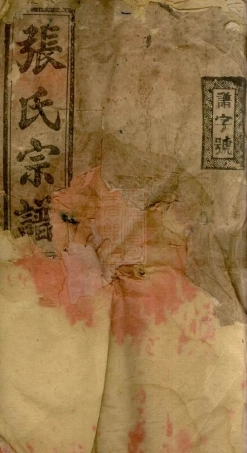 8410.张氏五修宗谱： 十卷首二卷：[湖南常宁].pdf