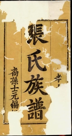 8166.张氏宗谱： 五卷，首一卷：[江西袁州].pdf