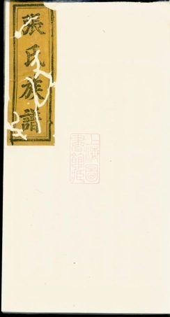 8213.张氏族谱： 不分卷：[江西袁州].pdf