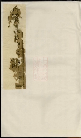 7954.浦阳柳溪张氏宗谱.pdf