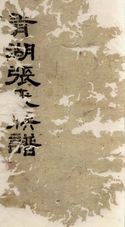 7892.青湖张氏族谱： 三十四卷，首一卷：[华容].pdf