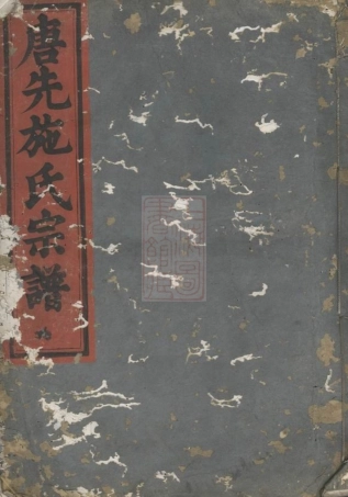 7693.唐先施氏宗谱： [永康].pdf