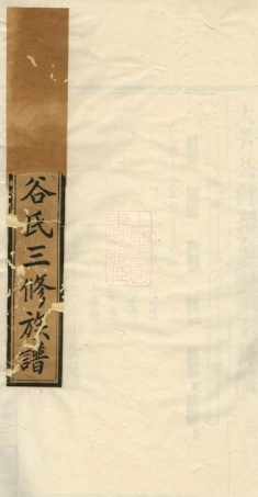 6733.湘乡梓田谷氏三修族谱.pdf