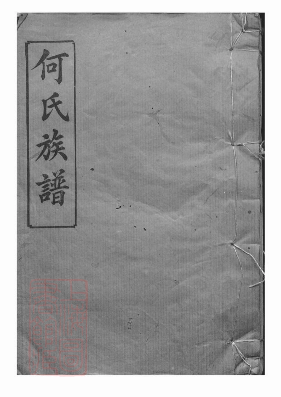 6588.岳阳坪桥河何氏族谱： 十卷.pdf_第1页
