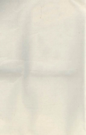 6506.双渠吴氏宗谱.pdf