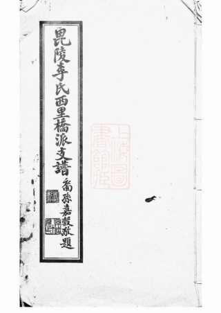 6049.毗陵李氏西里桥派支谱： 不分卷.pdf