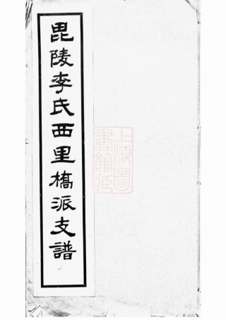 6050.毗陵李氏西里桥派支谱： 不分卷.pdf