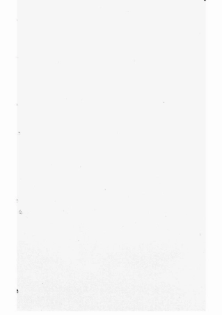 6052.华川李氏族谱.pdf