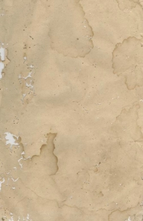 5765.伍氏九修宗谱.pdf