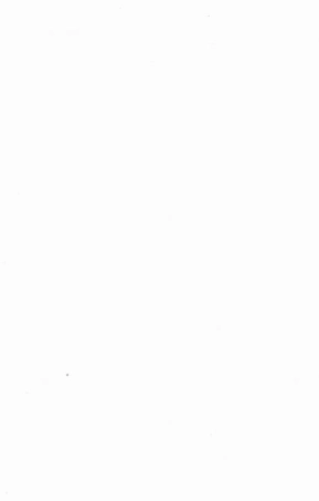 5547.菱塘朱氏族谱： 不分卷：[吴兴].pdf