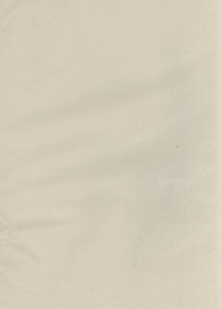 3050.邓氏家谱.pdf