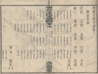 山东甲村王氏支谱2.pdf