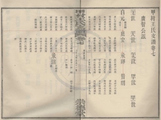 山东甲村王氏支谱4.pdf