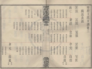 山东甲村王氏支谱3.pdf