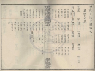 山东甲村王氏支谱5.pdf