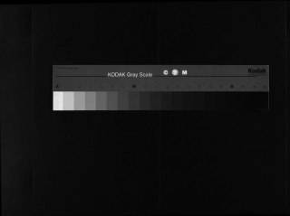 浙江三槐堂木衢王氏宗譜, 1, 卷1, 人像 肖像 祠圖 支圖 外紀1世晉公起, 2005.pdf