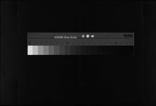 浙江三槐堂木衢王氏宗譜, 3, 卷3, 行傳 20世敦字行 繼槐公起, 2005.pdf